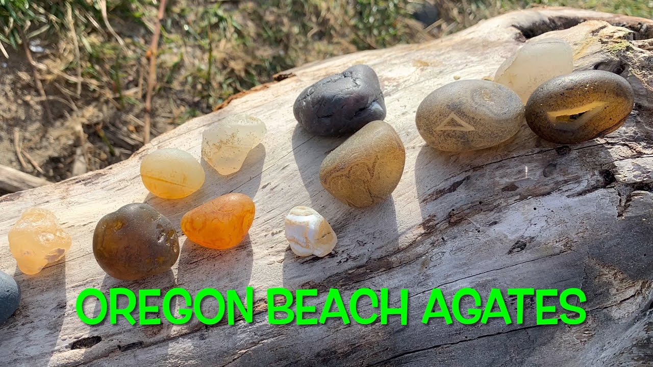 ROCKHOUNDING | Oregon Beach Agates (4K) - YouTube