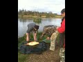 the biggest carp in ireland