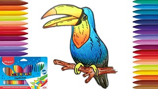 HOW TO DRAW TOUCAN BIRD USING MAPED PLASTICLEAN