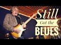 Martin Miller  Andy Timmons - Still Got The Blues (gary Moore Cover) - Live In Studio