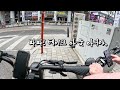 🐈냥냥펀치 캣쇼 코엑스 마곡에 다녀오다 13살 노묘가 반응한 장난감 떡볶이 마곡 카페 주전자 앵무새 매미 허물