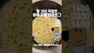 월 380 직장인 하루 지출 브이로그