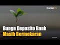 Suku Bunga Deposito Bank Besar Masih Membesar | KONTAN News