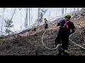 Tschechien: Waldbrand in der Böhmischen Schweiz