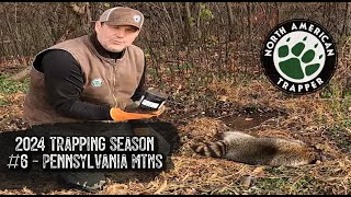 2024 Trapping Season #6 ~ NORTHERN APPALACIA ~ North American Trapper