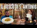 Pescocostanzo: il bosco di S. Antonio e la cucina di Essentia - Viaggio In Abruzzo - Ep.33