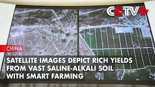 Satellite Images Depict Rich Yields from Vast Saline-Alkali Soil with Smart Farming