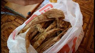 Как ферментировать курительный табак ? How to ferment Smoking tobacco ?