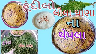 લીલા ધાણા અને ફુંદિલા ના થેપલા :- એક નવોજ ટેસ્ટ એક વાર ખાશો તો ખાતાજ રહી જાશો.નવી રેસીપી