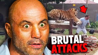 The Most HORRIFYING Animal Attacks In Joe Rogan History