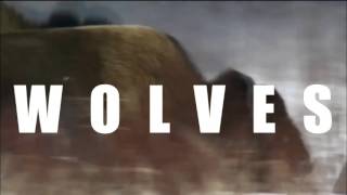 8 Graves - Wolves (Edit)