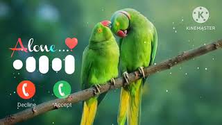 Message sms ringtone lovely notification message ringtone notification sms parrot message ringtone