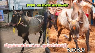 கிருங்காக்கோட்டை ஜல்லிக்கட்டு களத்தில் PR அய்யா காளைகள் 💥💥 jallikattu videos