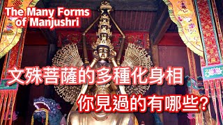 文殊菩薩化現的各種寂靜和忿怒相|中英文字幕|#文殊菩薩 #佛教 #智慧宝剑@DHI