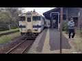 木造駅舎嘉例川駅🌸桜開花