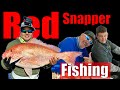 Red Snapper Fishing | Offshore Fishing Epic Day | Fishing Galveston Texas