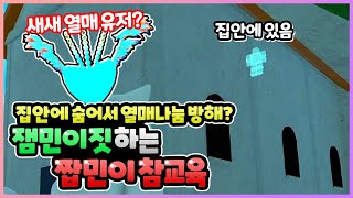 [로블록스 킹피스] 집에 숨어서 열매 나눔 방해 하는 잼민이 인척 하는 짭민이 참교육!! 이젠 새새 열매 있는 사람이 방해를 합니다... | 킹피스 열매 나눔 실시간 이벤트 중