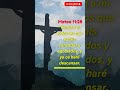 La promesa más esperanzadora de Mateo 11:28 #shorts #mateos #bibleverse #biblia #versículo #kjv