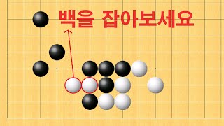 바둑 맥점 사활 - 정말 엄청 많이 실수 합니다. 백을 잡아보세요