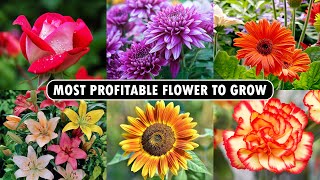 Most profitable Flower to Grow | Flower Farming Business