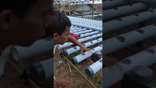 Hydroponics installation NFT sistem... #shorts #hydroponic #nft #pvc