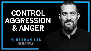 Understanding & Controlling Aggression | Huberman Lab Essentials