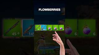 Why are Fortnite Pro's all carrying Flowberries?