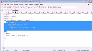 Beginner PHP Tutorial 8 Indentation ‏