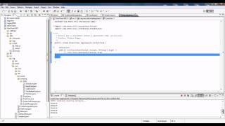 Xera NIO Prem : Scripting System