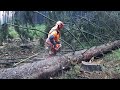 big comeback lumberjack little harvestor vs chainsaw husqvarna 560xp