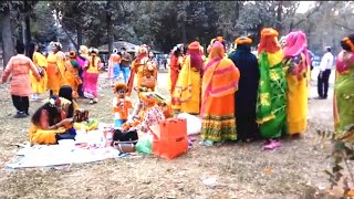 আজ ঋতুরাজ বসন্তের প্রথম দিন |  পহেলা ফাল্গুন |  Today is the first day of spring. Pahela Falgun