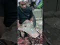 WOW!! Big Shapla Pata Fish Cutting Skills #shorts #viral #fish_cutting #trending #bongofish