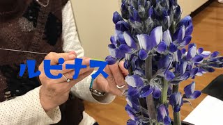 ルピナスを使ってflowerアレンジメント  「イースター」