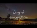 Gabrielle Aplin & JP Cooper - Losing Me (Lyrics)