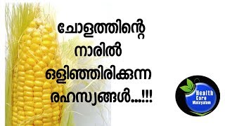 ചോളത്തിന്‍റെ നാരില്‍ അത്ഭുത ഗുണങ്ങള്‍ ...!!!|Benefits of corn silks