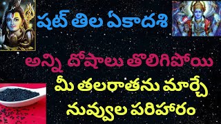 షట్ తిల ఏకాదశి| అన్ని దోషాలు తొలిగిపోయి తలరాతను మార్చే పరిహారం@Sree Laxmi Srinivasa Bhakthi Aalayam