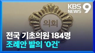 ‘발의 0건’ 기초의원 전국에 184명…전수분석 해보니 / KBS  2022.05.08.