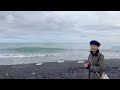 【冰岛iceland】4 瓦特纳冰川国家公园 杰古沙龙湖 绝美黑沙滩 幽邃曲折的东部峡湾 vatnajökull national park lake jökulsárlón black beach