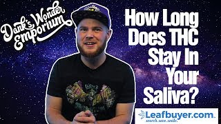 How Long Does Marijuana Stay in Your Saliva?