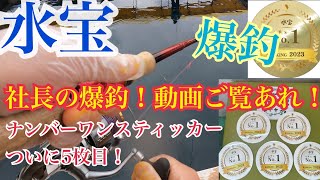 水宝３日目！爆釣／社長のテクニックにご注目！