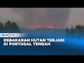 Kebakaran Hutan Terjadi di Portugal Tengah