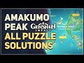 All Amakumo Peak Puzzles Genshin Impact