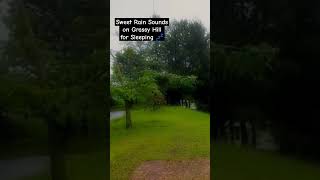 Sweet Rain Sounds for Sleeping on Grassy Hill Perfect ASMR Rain Sounds for Relaxing Studying Working