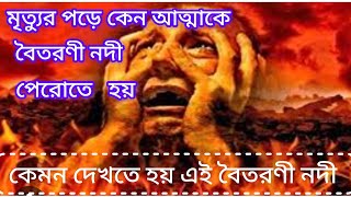 মৃত্যুর পড়ে সবাইকে কেন বৈতরণী নদী পেরোতে হয়?কোথায় প্ৰবাহিত হয়েছে এই নদী।#vaitarini#viral #video