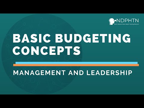 What is a budget for an organization?