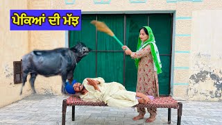 ਪੇਕਿਆਂ ਦੀ ਮੱਝ || PEKEIAN DI MAJJ || VIDEO 2024 || VIRAL VIDEO