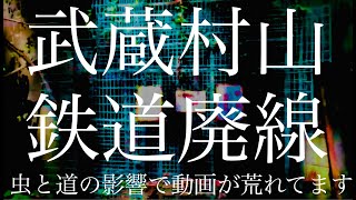 【廃墟・心霊スポット】「羽村山口軽便鉄道廃線跡」廃隧道発見シーン【酷道】【大正時代から昭和初期にかけて敷設された、軽便鉄道の線路跡・トンネル群】（東京都 武蔵村山市・過去自作動画より抜粋）