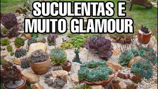 O JARDIM DE SUCULENTAS MAIS CHIQUE E INCRÍVEL