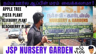 JSP Nursery Garden Padapai l நம்ம ஊர்ல ஆப்பிள் மரம் வெக்கலமா