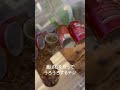 食ぱむを持ってうろうろするテジ ハムスター テジ